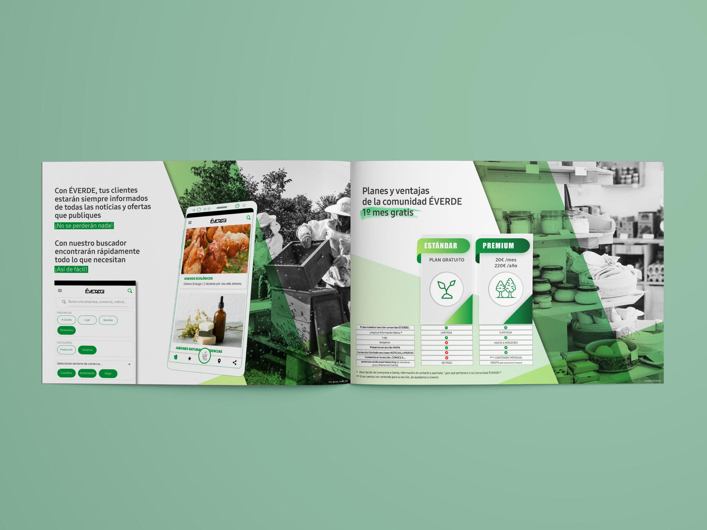 Dossier App Éverde 