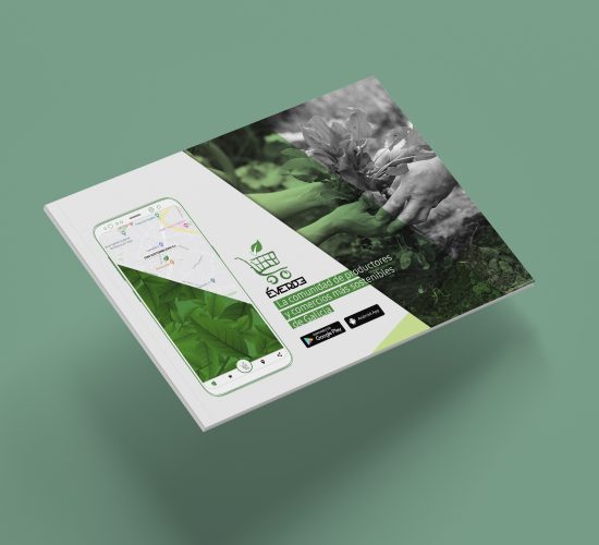Diseño de presentación corporativa ÉVERDE