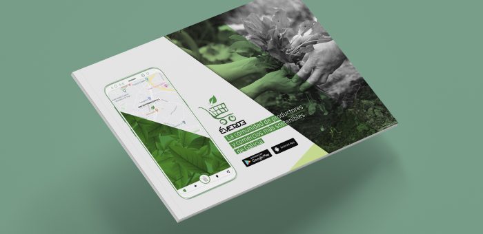 Diseño de presentación corporativa ÉVERDE