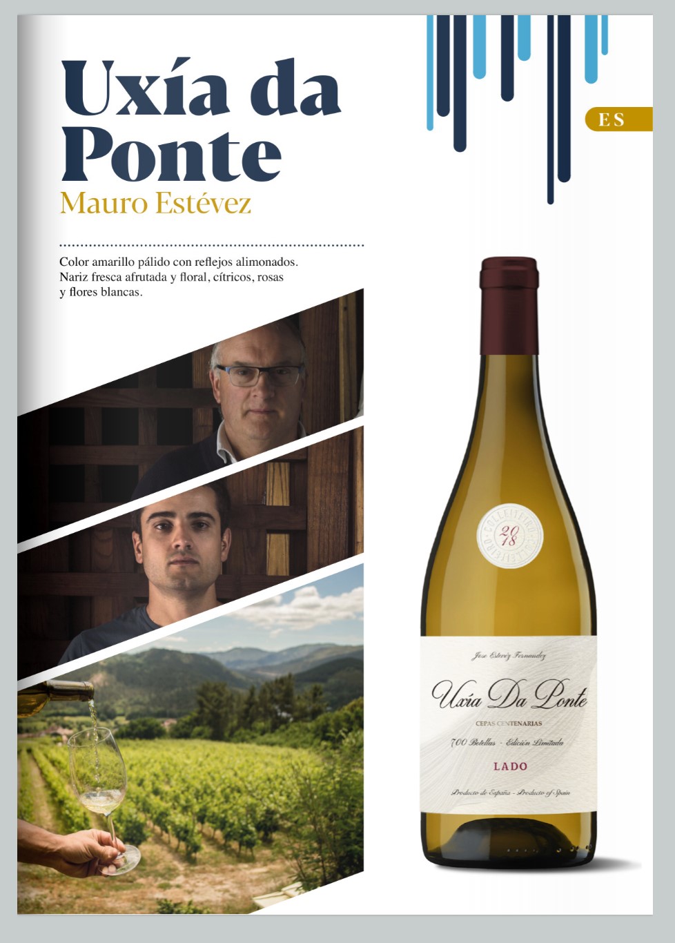 ficha tecnica de vino