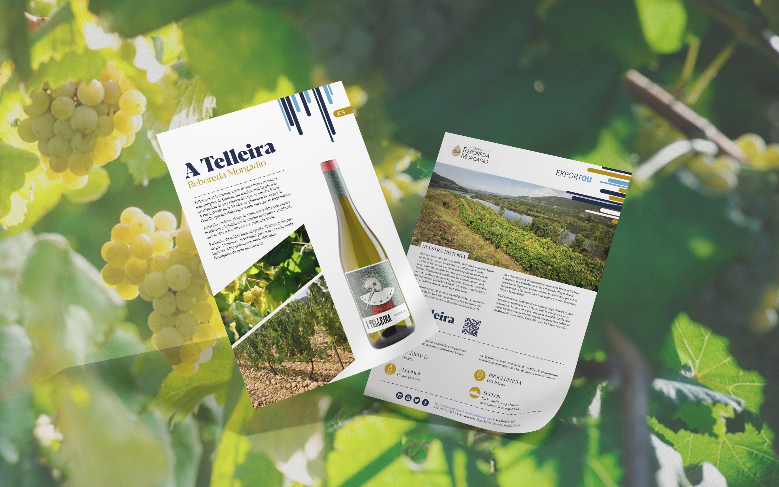 Fichas de producto de vinos Exportou