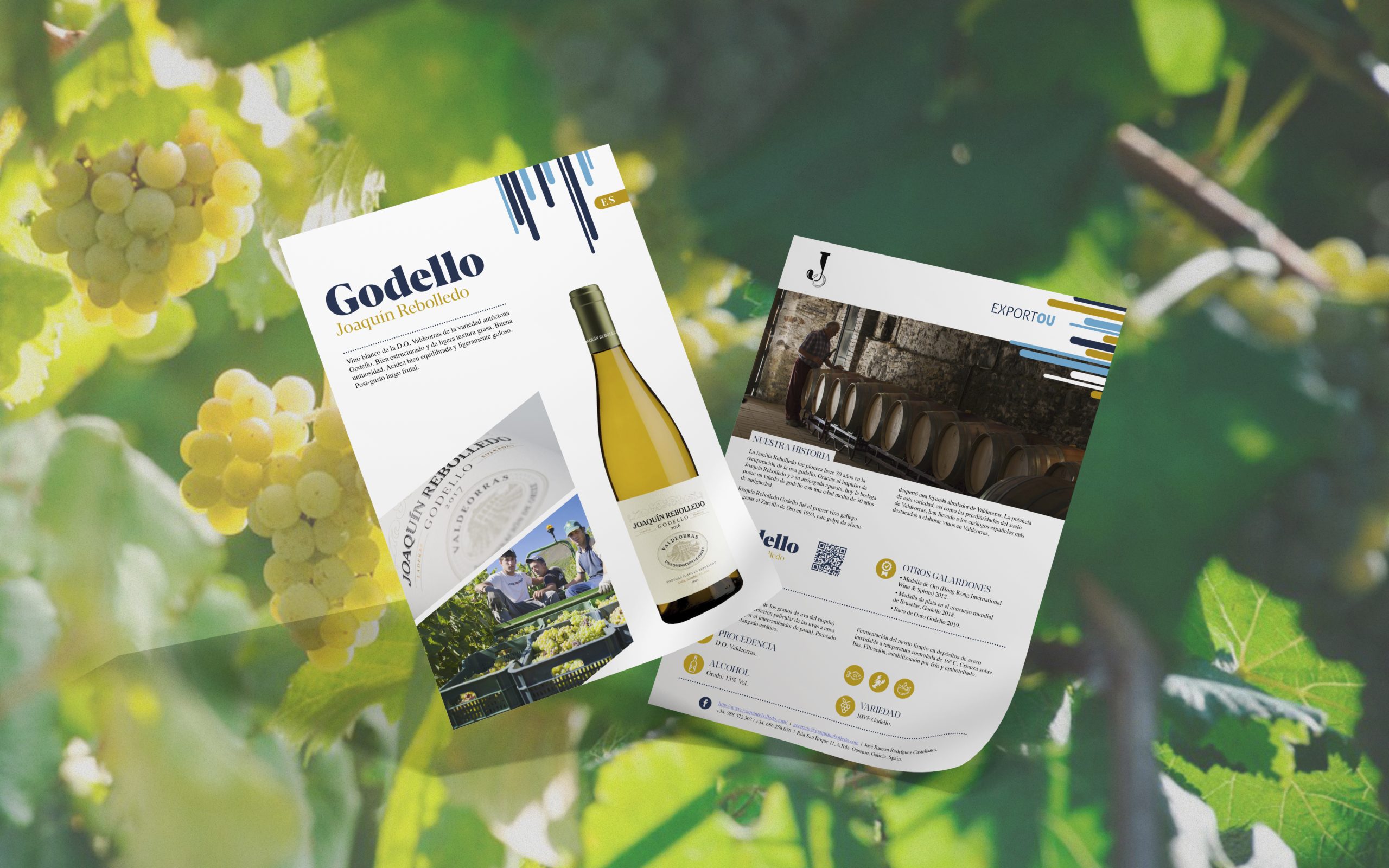 Fichas de producto de vinos Exportou