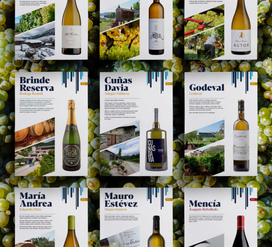 Diseño de fichas técnicas para vinos – Proyecto ExportOu