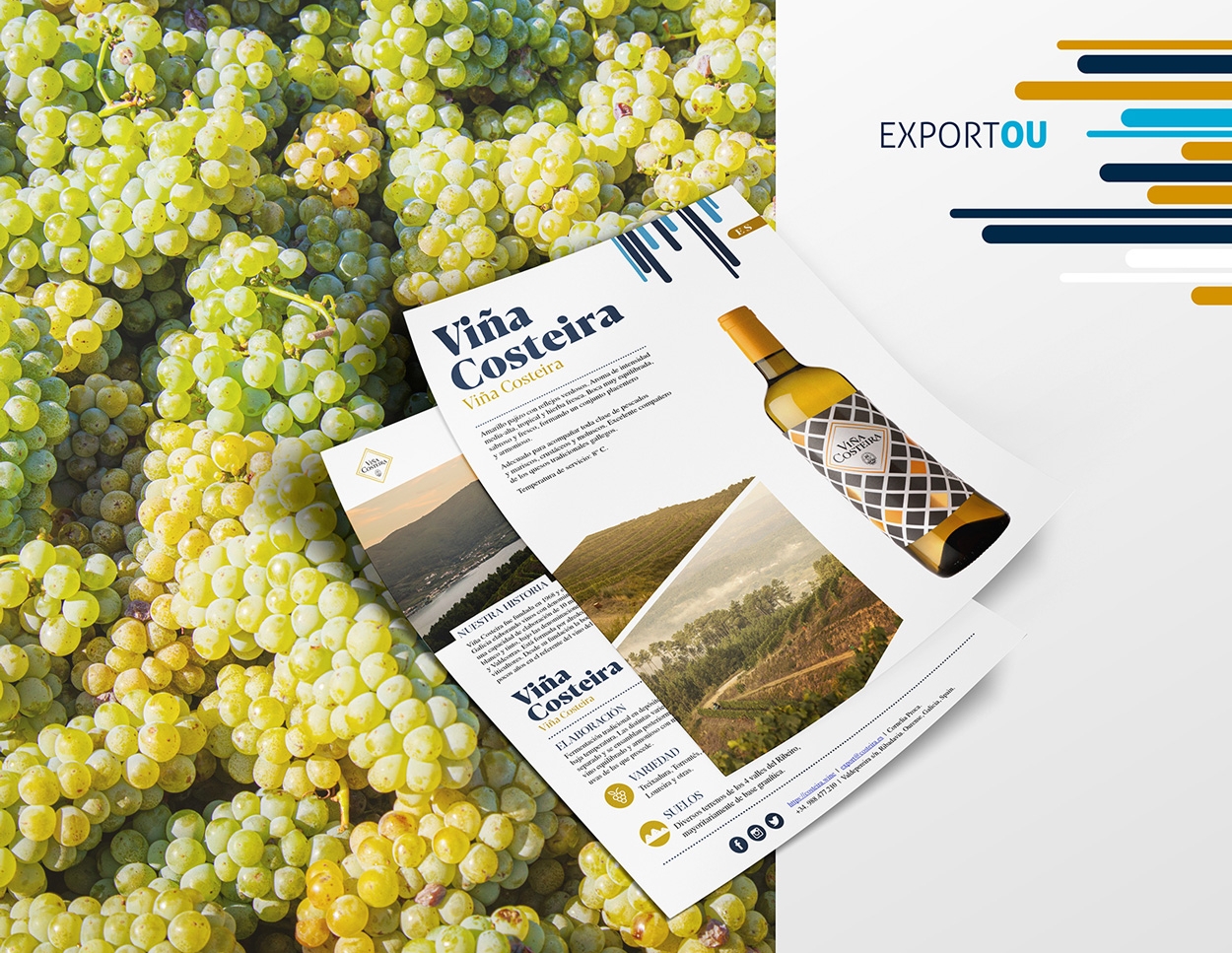 Diseño de fichas técnicas para vinos - Proyecto Exportou