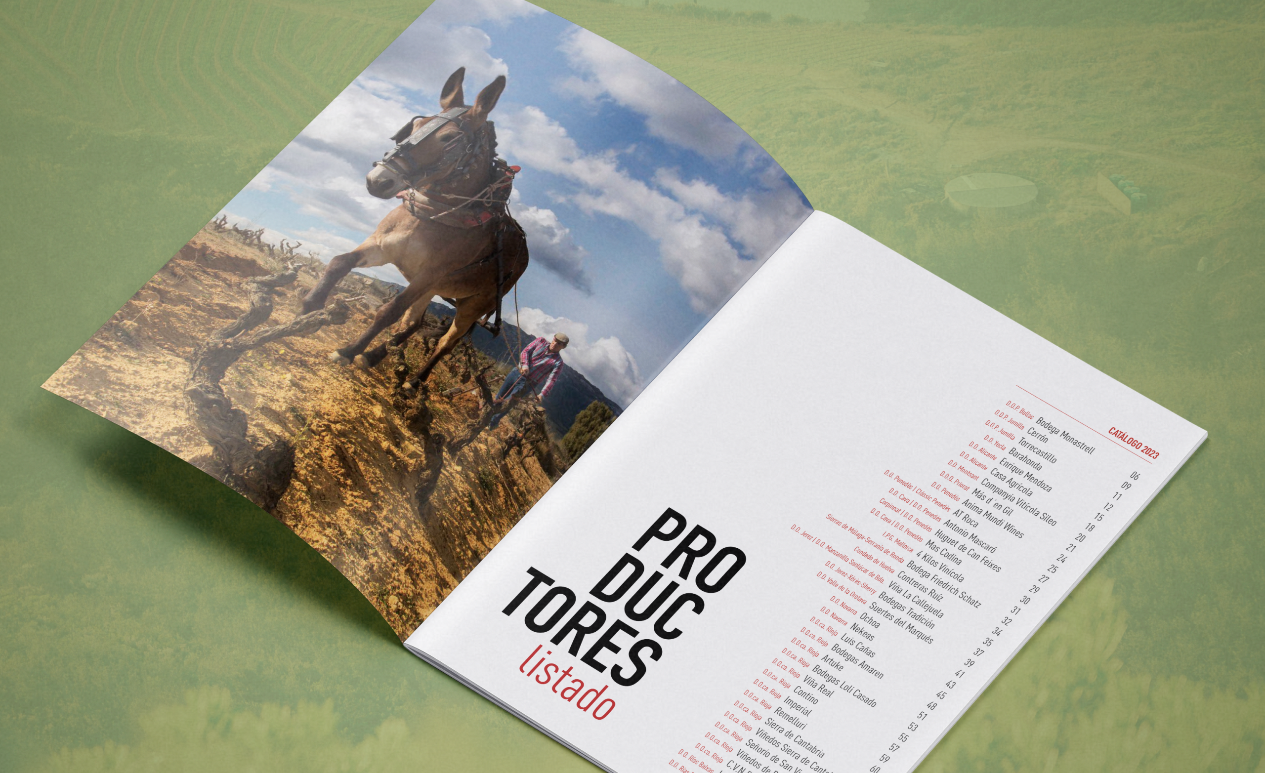 Diseño de catalogo para bodegas de vinos y alimentación
