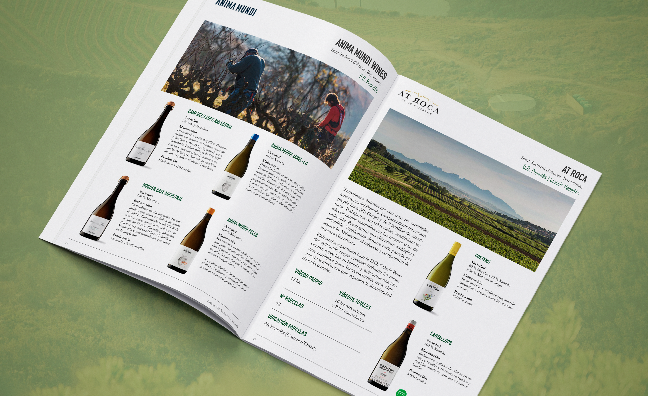 Diseño de catalogo para bodegas de vinos y alimentación
