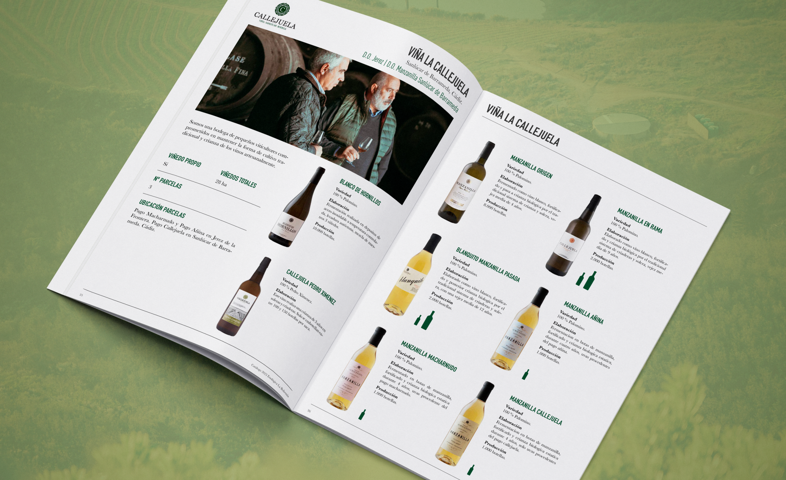 Diseño de catalogo para bodegas de vinos y alimentación