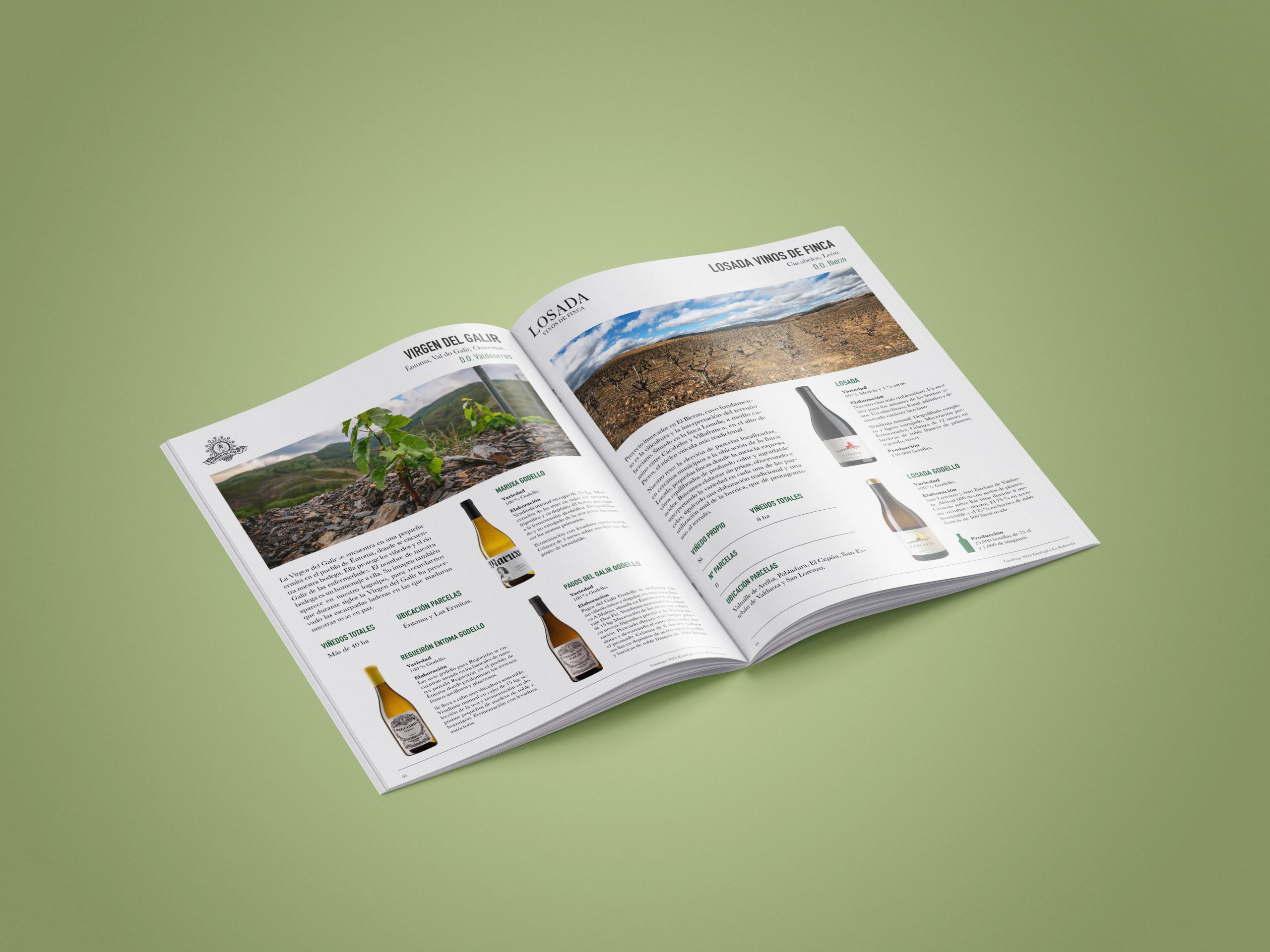Fichas de producto de vinos Exportou Fichas de producto de vinos Exportou